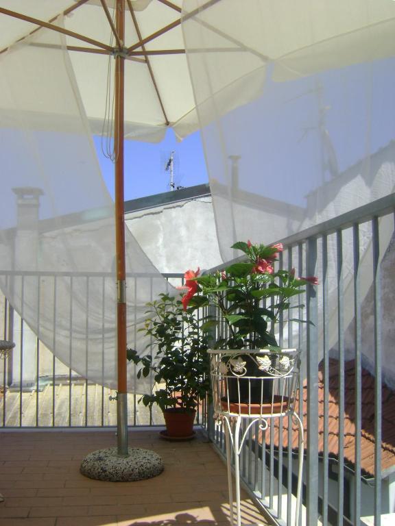 Hotel La Petite Maison Viareggio Exteriér fotografie